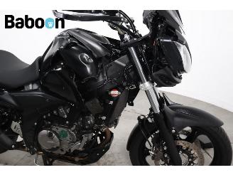 Suzuki DL 650 V-Strom ABS picture 12