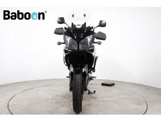 Suzuki  DL 1000 V-Strom picture 3