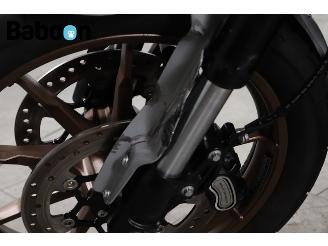 Harley-Davidson  FXLRST Low Rider ST 117 picture 10