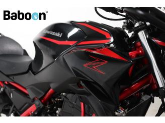 Kawasaki Z 650 ABS picture 20