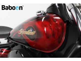 Honda VT 750 C2 Shadow ACE picture 17