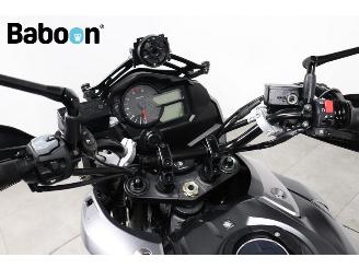 Suzuki  DL 1000 V-Strom ABS picture 11