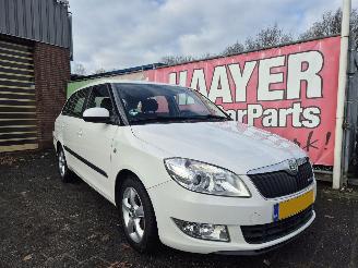 Vaurioauto  passenger cars Skoda Fabia 1.2 TDI greenline 2011/12