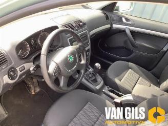 Skoda Octavia Octavia Combi (1Z5), Combi 5-drs, 2004 / 2013 2.0 TDI PDF picture 9