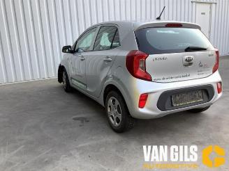 Kia Picanto Picanto (JA), Hatchback, 2017 1.0 12V picture 3