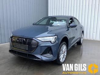 Audi E-tron e-tron Sportback (GEA), SUV, 2019 / 2023 55 picture 23