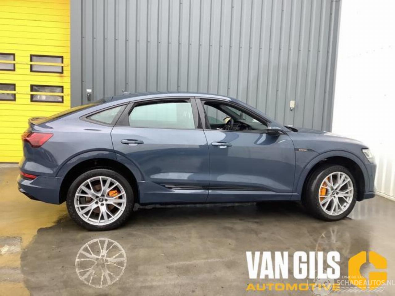 Audi E-tron e-tron Sportback (GEA), SUV, 2019 / 2023 55