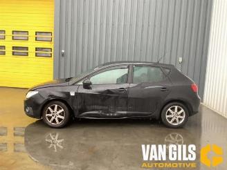 rozbiórka samochody osobowe Seat Ibiza Ibiza IV (6J5), Hatchback 5-drs, 2008 / 2017 1.2 12V 2010/1