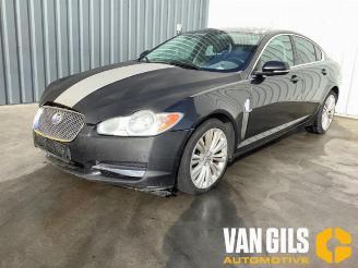 Jaguar XF XF (CC9), Sedan, 2008 / 2015 3.0 D V6 24V picture 7
