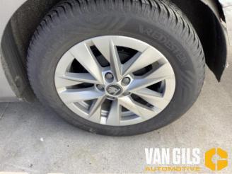 Skoda Fabia Fabia IV (PJ3), Hatchback 5-drs, 2021 1.0 TSI 12V picture 5