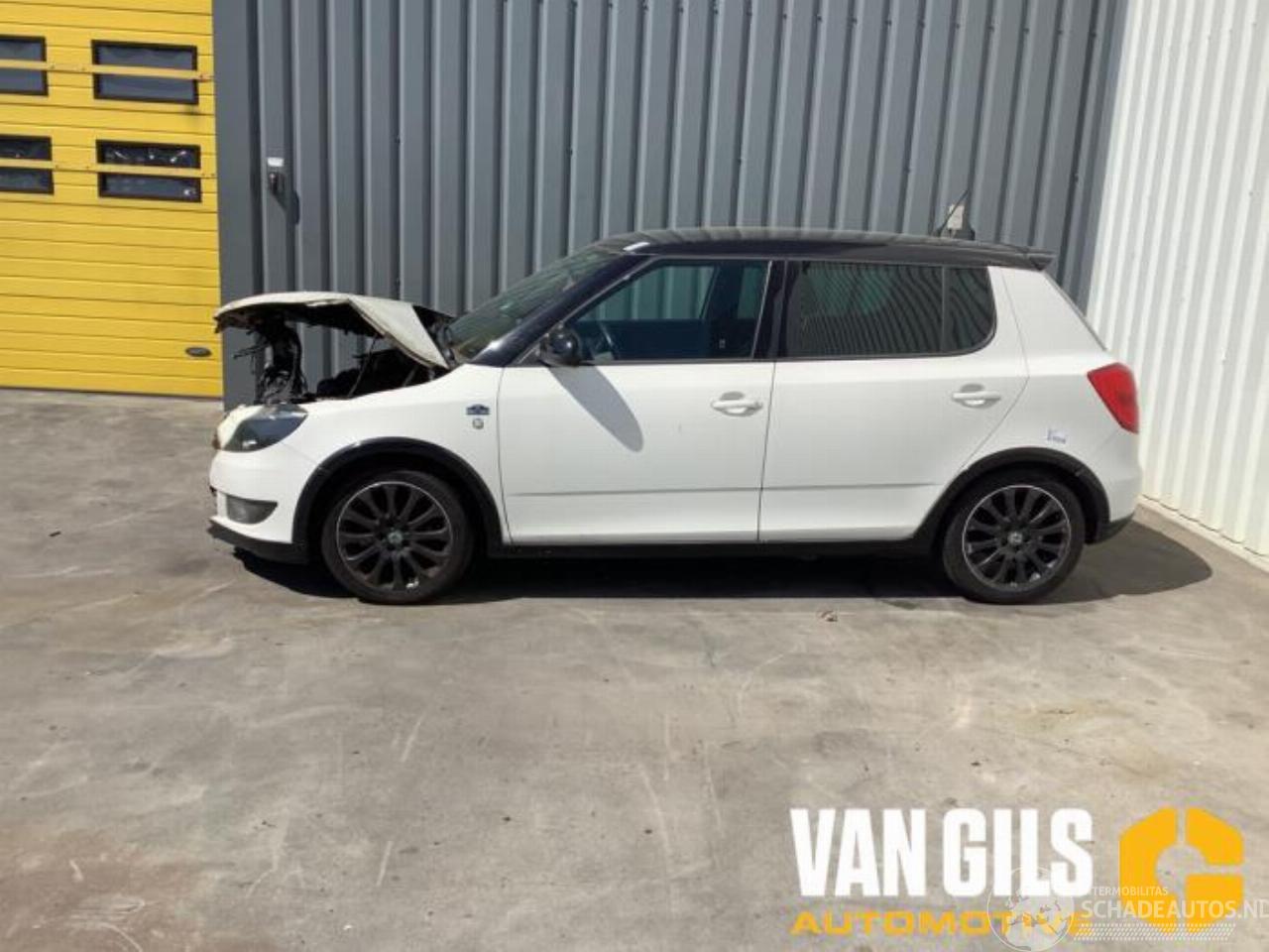 Skoda Fabia Fabia II (5J), Hatchback 5-drs, 2006 / 2014 1.2 TSI