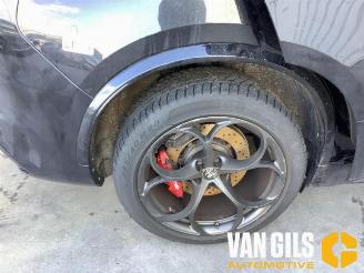 Alfa Romeo Stelvio Stelvio (949), SUV, 2017 2.9 Bi-Turbo V6 24V Q4 picture 9