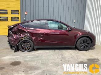 Tesla Model Y Model Y (5YJY), SUV, 2019 / 2025 Long Range RWD picture 5