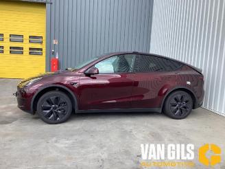 Vrakbiler auto Tesla Model Y Model Y (5YJY), SUV, 2019 / 2025 Long Range RWD 2024/12
