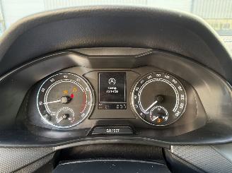 Skoda Scala 1.0 TSI Ambition picture 18