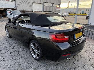 BMW 2-serie Cabrio 220i Centennial High Executive picture 6