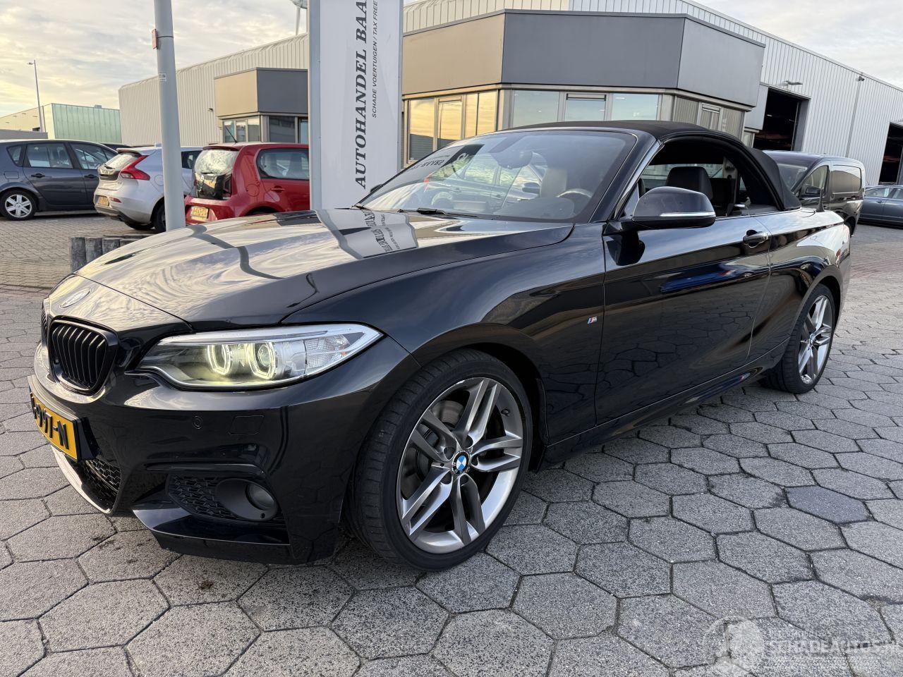 BMW 2-serie Cabrio 220i Centennial High Executive