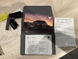 Cupra Formentor 1.5 TSI e-Hybrid copper edition picture 25