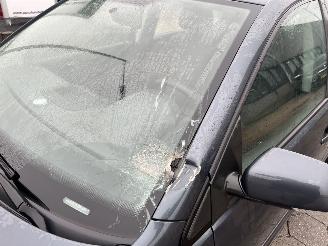 Volkswagen Polo 1.4-16V Optive picture 9