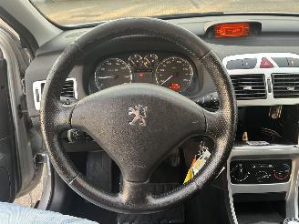 Peugeot 307 1.6-16V XS picture 16