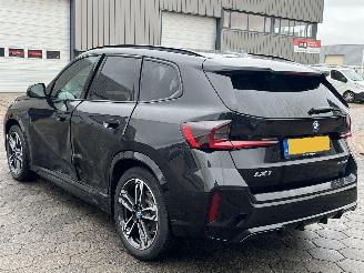 BMW iX1 xDrive30 67 kWh picture 6