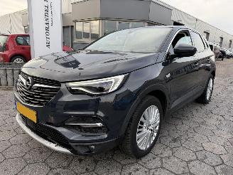 skadebil auto Opel Grandland X 1.2 Turbo Business Executive 2019/9