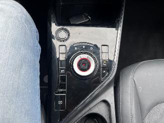 Kia e-Niro EV DynamicLine 64.8 kWh picture 21