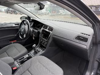 Volkswagen e-Golf E-DITION picture 13