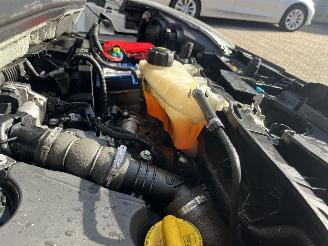 Renault Kangoo 1.5 Blue dCi 95 Work Edition picture 8