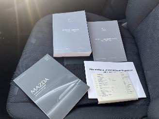 Mazda 2 Hybrid 1.5 Centre-line picture 20