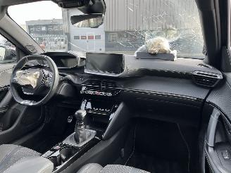 Peugeot 2008 1.2 PureTech GT picture 13