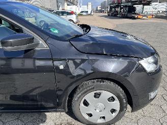 Skoda Rapid 1.2 TSI Greentech Elegance Businessline picture 11