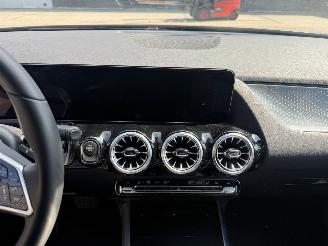 Mercedes B-klasse 250 e Star Edition AMG Line Plus picture 18