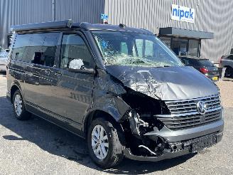 Volkswagen  2.0 Bulli 110KW California Roadsurfer picture 2