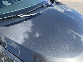 Kia Niro EV Light Advanced 64.8 kWh picture 13