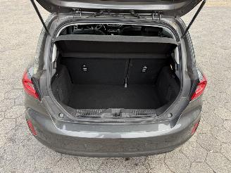 Ford Fiesta 1.0 EcoBoost Hybrid Titanium picture 13