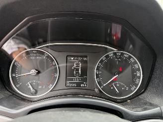 Skoda Octavia Combi 1.8 TSI Elegance Business Line picture 18