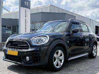 škoda osobní automobily Mini Countryman 1.5 Cooper Dutch Made Edition AUTOMAAT 2019/5