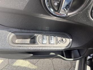 Mini Countryman 1.5 Cooper Dutch Made Edition AUTOMAAT picture 16