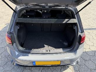 Volkswagen Golf Panaramadak TCR 2.0 TSI GTI TCR picture 14