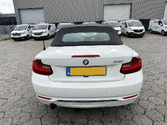 BMW 2-serie Cabrio 218i picture 6