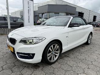 BMW 2-serie Cabrio 218i picture 2