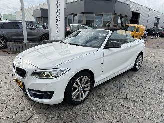 škoda osobní automobily BMW 2-serie Cabrio 218i 2015/4