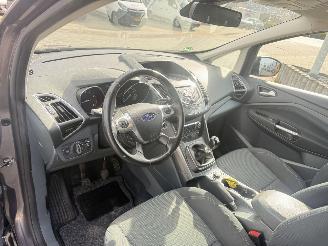 Ford C-Max 1.6 EcoBoost Titanium picture 17