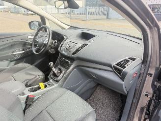 Ford C-Max 1.6 EcoBoost Titanium picture 16