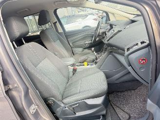 Ford C-Max 1.6 EcoBoost Titanium picture 15