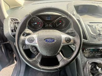 Ford C-Max 1.6 EcoBoost Titanium picture 18