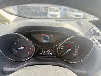 Ford C-Max 1.6 EcoBoost Titanium picture 19