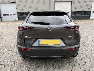 Mazda CX-30 2.0 e-SkyActiv-X M picture 5