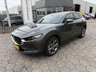 Mazda CX-30 2.0 e-SkyActiv-X M picture 1